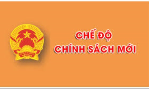 Chế độ, chính sách đối với cán bộ không đủ điều kiện tuổi tái cử, tái bổ nhiệm
